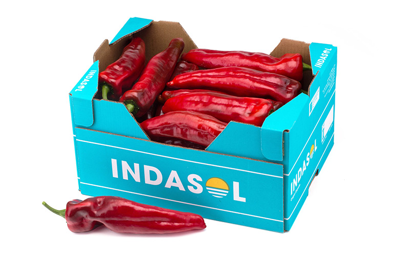 Envases-Indasol031